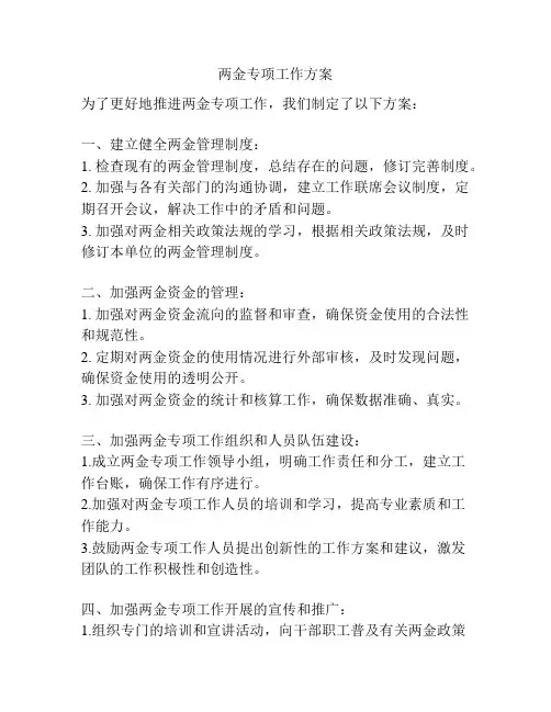 两金专项工作方案