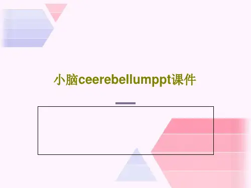 小脑ceerebellumppt课件共18页