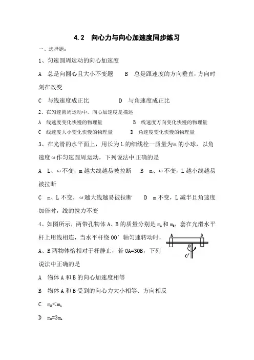 高一物理向心力与向心加速度1