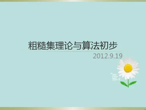 粗糙集理论和算法初步