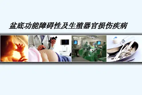 盆腔脏器脱垂 PPT