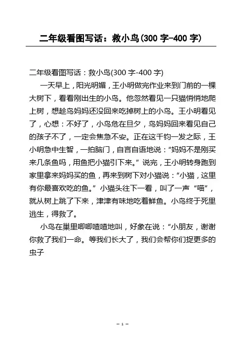 二年级看图写话：救小鸟(300字-400字)_1