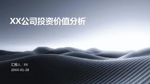 XX公司投资价值分析