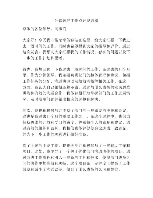 分管领导工作点评发言稿
