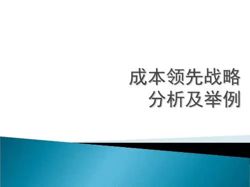 成本领先战略的先驱-格兰仕ppt课件