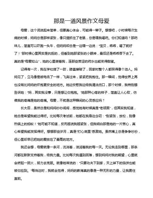 那是一道风景作文母爱