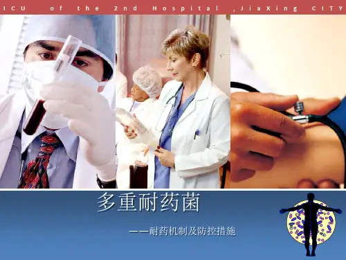 多重耐药菌——耐药机制及防控措施ppt课件