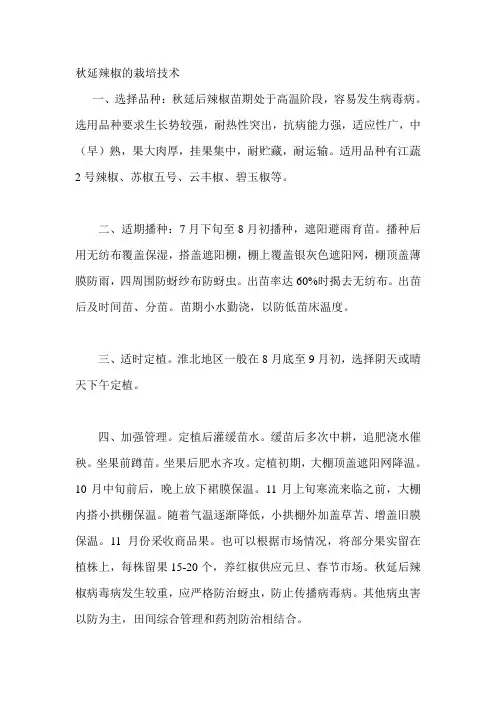 秋延辣椒的栽培技术