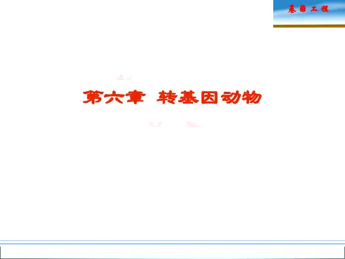 第六章 转基因动物