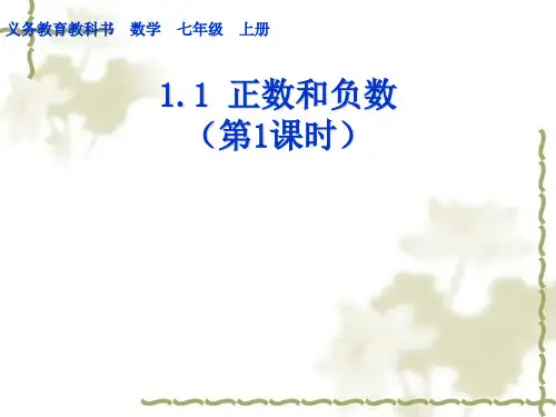 人教版七年级数学上册1.1正数和负数课件 (共49张PPT)