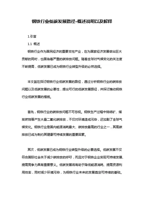 钢铁行业低碳发展路径-概述说明以及解释