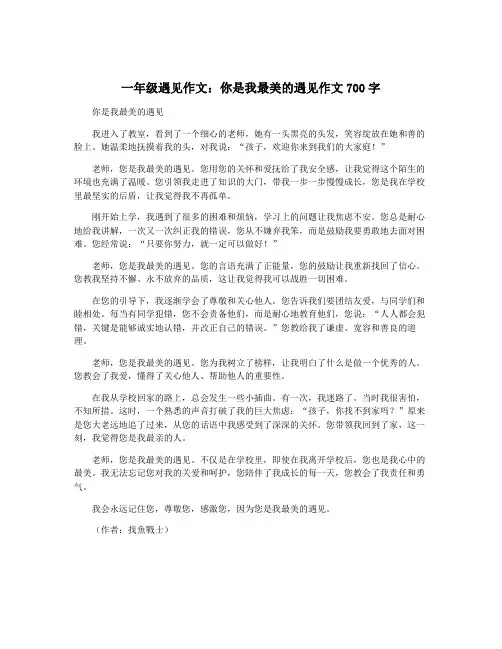 一年级遇见作文：你是我最美的遇见作文700字