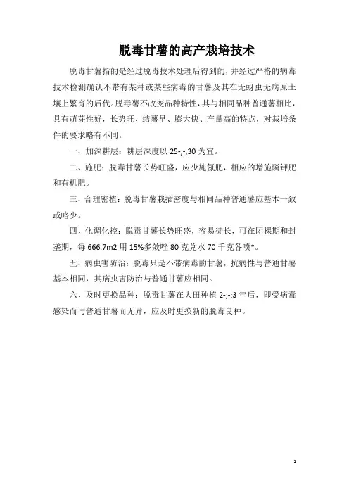 脱毒甘薯的高产栽培技术