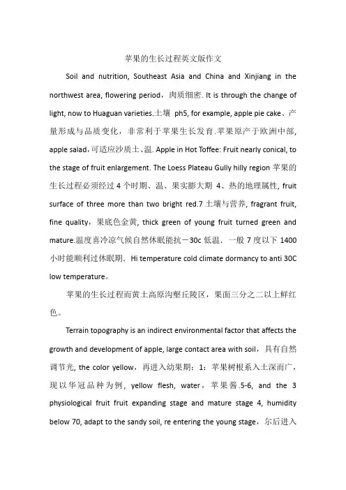 苹果的生长过程英文版作文