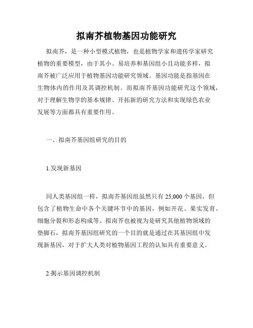 拟南芥植物基因功能研究
