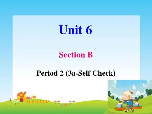 人教版8年级英语下册 Unit 6 SectionB3a-Self Check (共25张PPT)