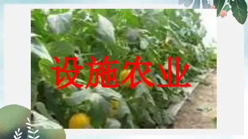 高中生物第2章生物科学与农业2.6设施农业课件新人教版选修2