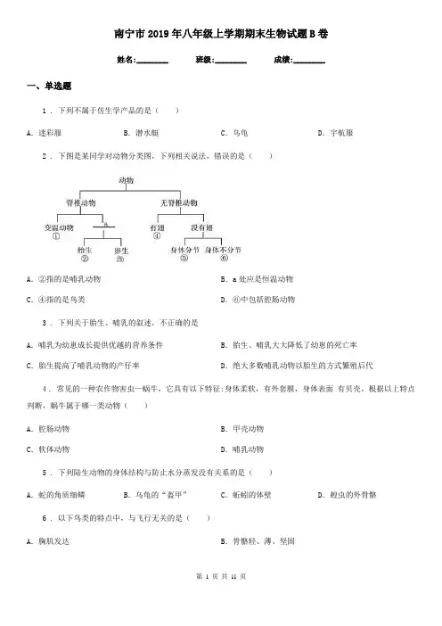 南宁市2019年八年级上学期期末生物试题B卷