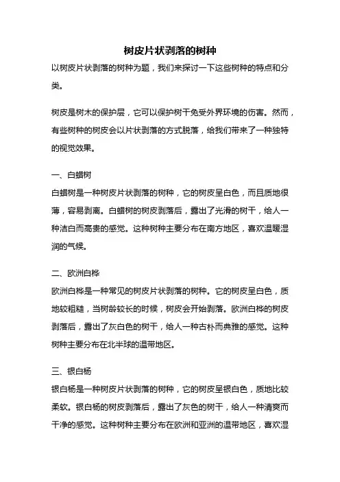 树皮片状剥落的树种