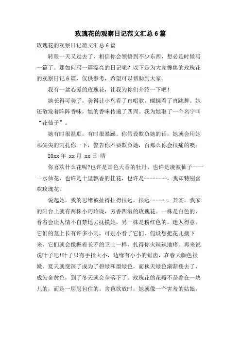 玫瑰花的观察日记范文汇总6篇