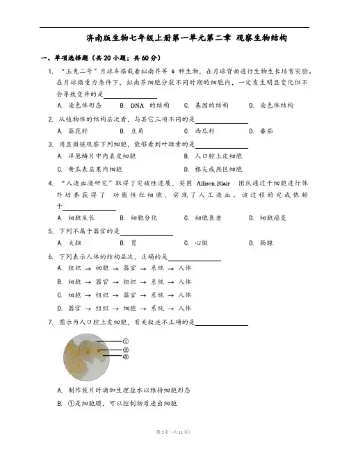 济南版生物七年级上册同步检测第一单元第二章 观察生物结构(word版,含答案解析)