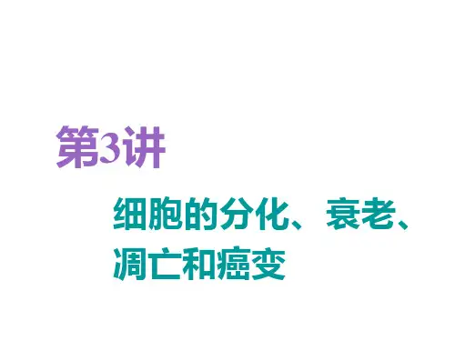 2019届 一轮复习人教版 细胞的分化、衰老、凋亡和癌变 课件