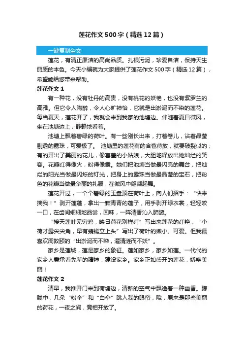 莲花作文500字（精选12篇）