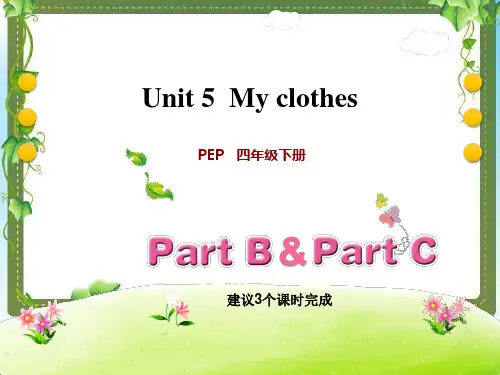 新人教版(PEP)小学四年级下册英语课件PPT Unit 5 My clothes (25)