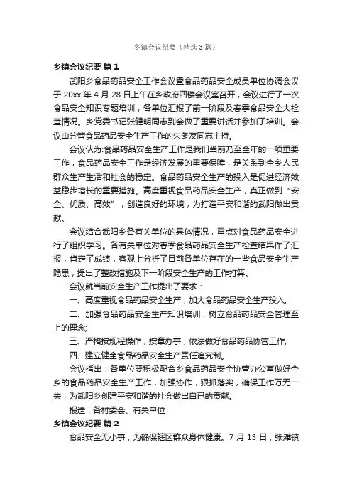 乡镇会议纪要（精选3篇）