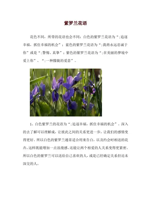 紫罗兰花语