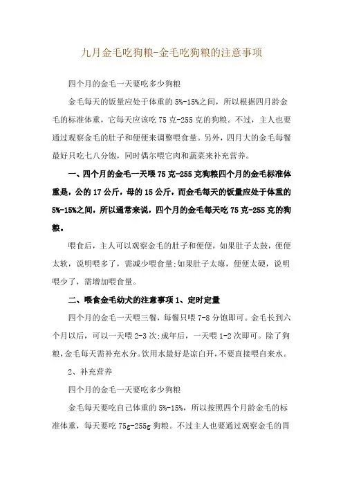 九月金毛吃狗粮-金毛吃狗粮的注意事项