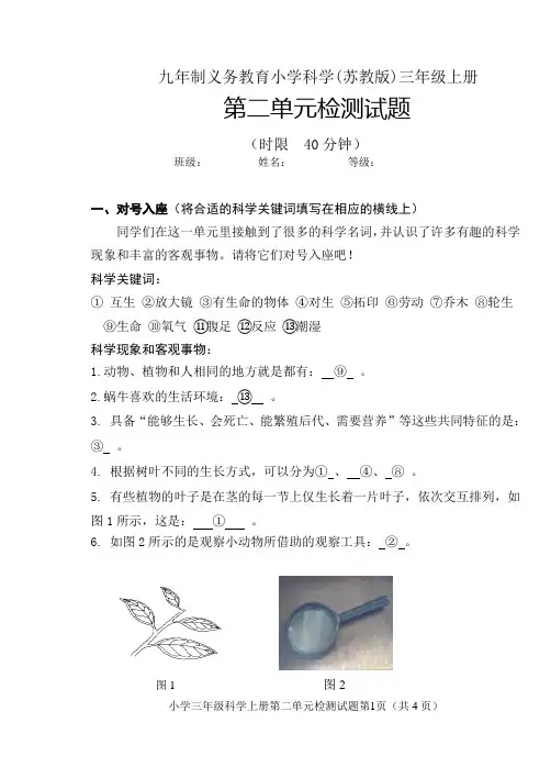 苏教版小学科学三上第二单元带答案