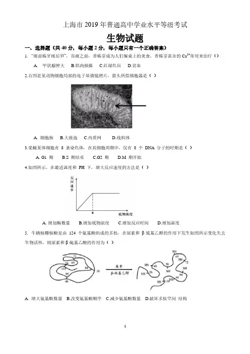 上海市2019年(高考)普通高中学业水平等级考试生物试题(含答案)