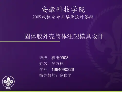 毕业设计答辩ppt_注塑模具答辩ppt
