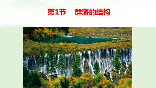 群落的结构课件+2023-2024学年高二上学期生物人教版(2019)选择性必修2