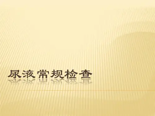 尿液常规检查详细版精品PPT课件