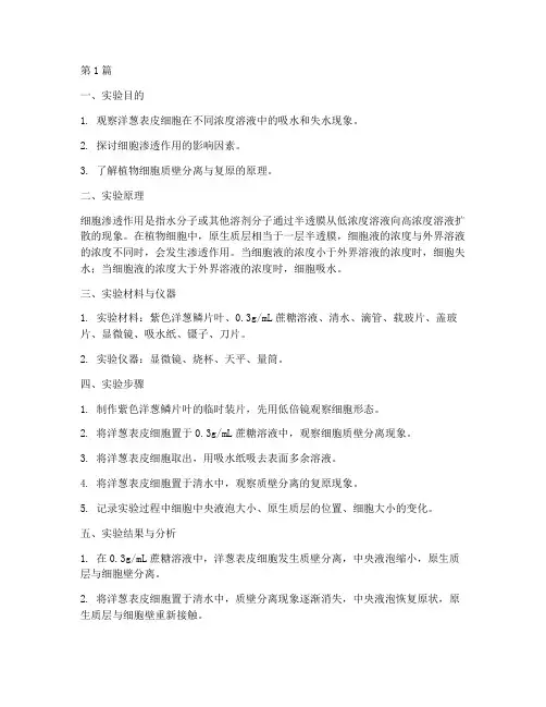 洋葱吸收水分实验报告(3篇)