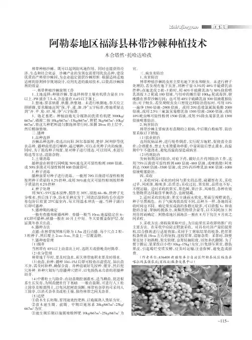 阿勒泰地区福海县林带沙棘种植技术