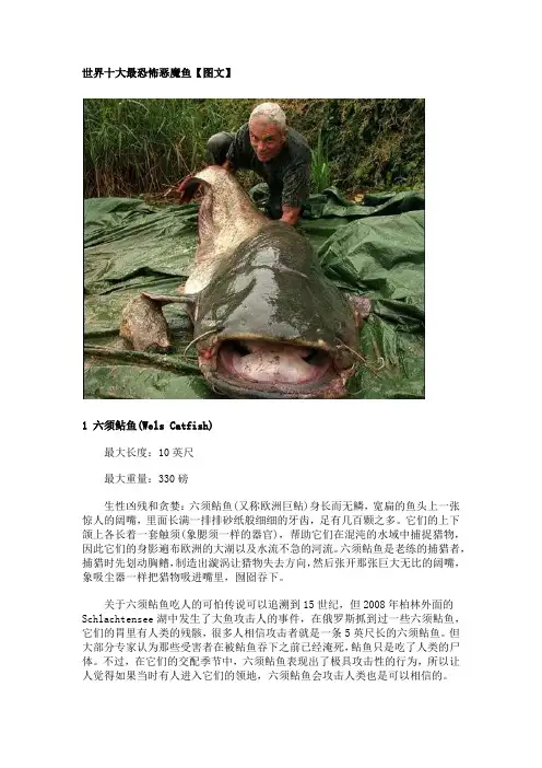世界十大最恐怖恶魔鱼【图文】