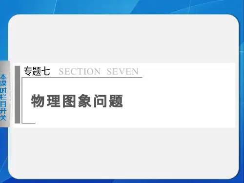 高三物理二轮复习专题课件精编：专题七 物理图像问题