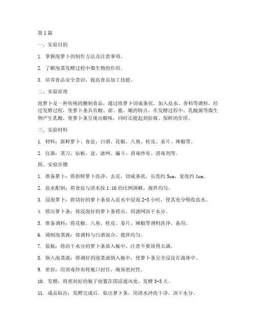 泡萝卜制作实验报告(3篇)