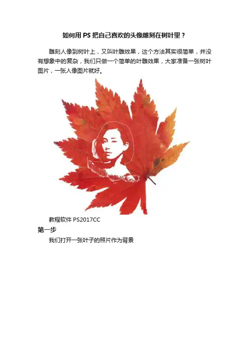 如何用PS把自己喜欢的头像雕刻在树叶里？