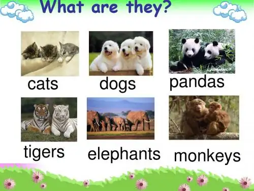 外研版英语(三起)三年级下册Module 3《Unit 1 I like football》公开课课件