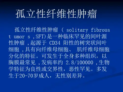 孤立性纤维性肿瘤影像学表现【5页】