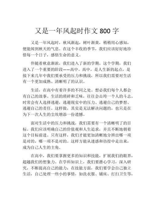 又是一年风起时作文800字