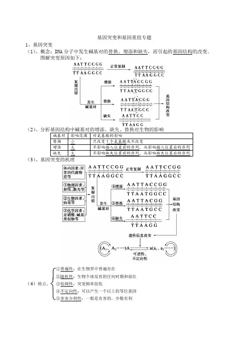 基因突变和基因重组专题
