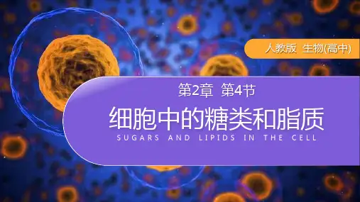 《细胞中的糖类和脂质》人教版必修高一生物PPT课件