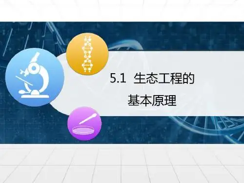 人教版高中生物选修三5.1《生态工程的基本原理》课件 (共44张PPT)