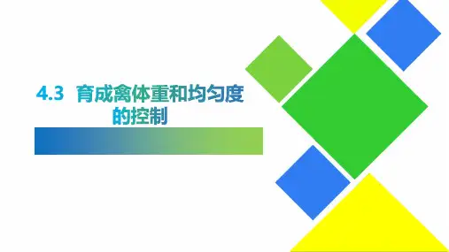 4.3  育成禽体重和均匀度的控制