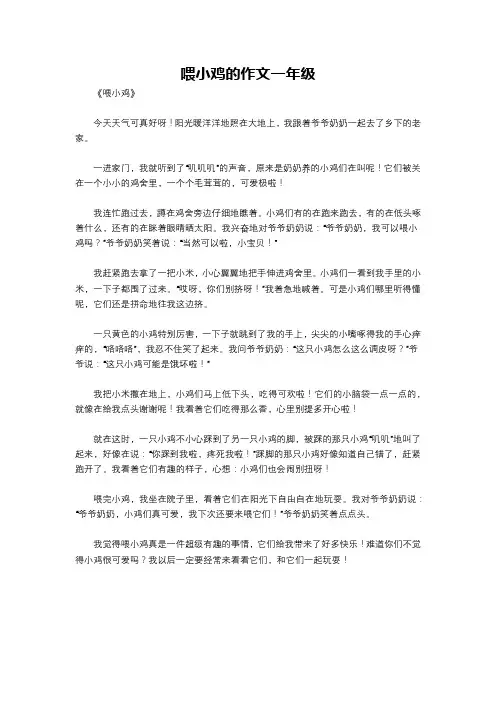 喂小鸡的作文一年级